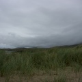 IMG 7250