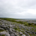 IMG 7422