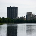 IMG 4421