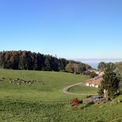 Panoramas