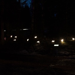 Lenzerheide Zauberwald 2014