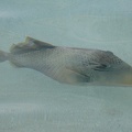 IMG 0513